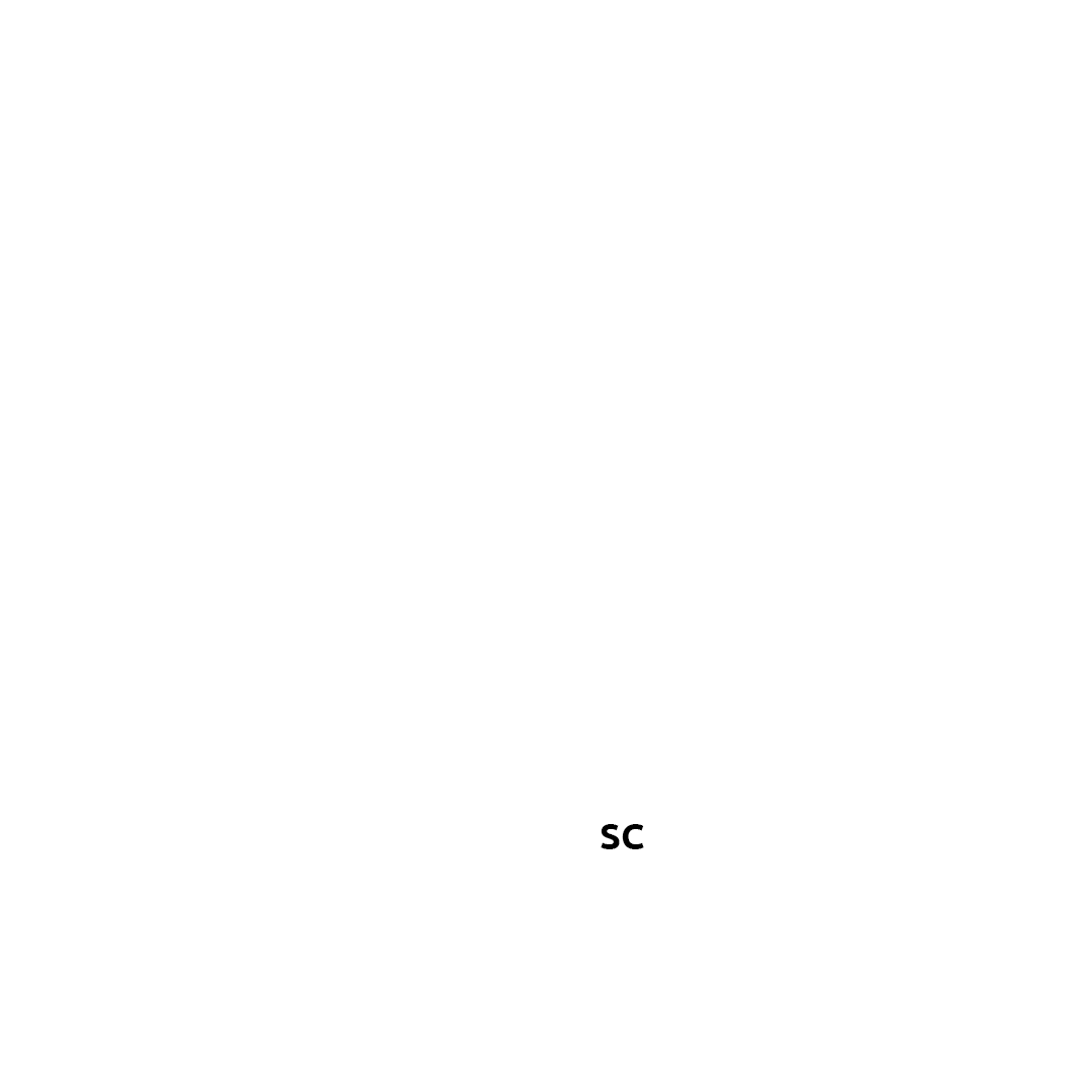 MAPA copiar MAPA copiar